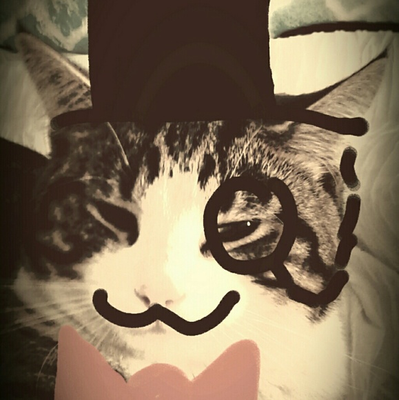 Meet your Posher, Molly - Picture 1 of 8